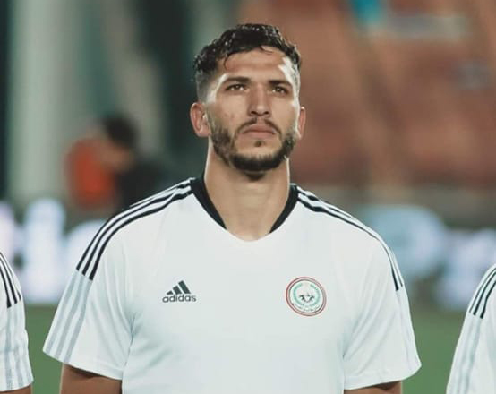 محمود وادي