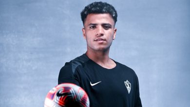 أحمد ربيع