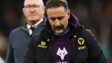 ولفرهامبتون يعلن إقالة فيتور بيريرا