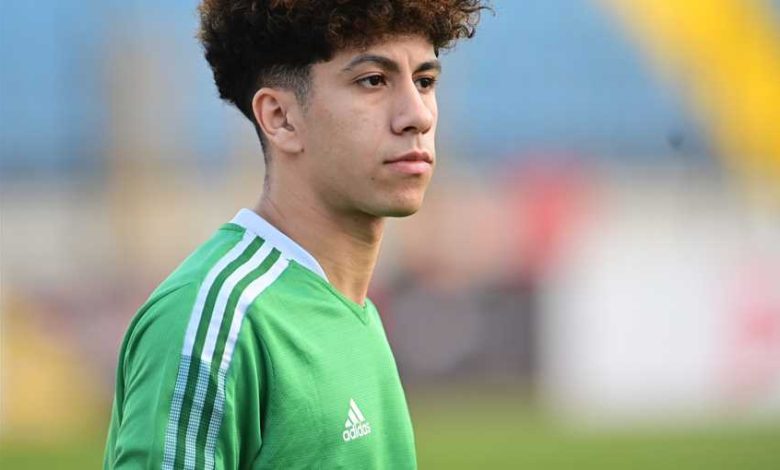 عمار حمدي