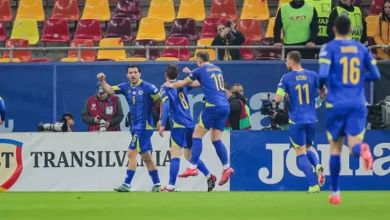 منتخب البوسنة والهرسك