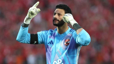 محمد الشناوي