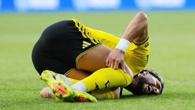 وسام أبو علي