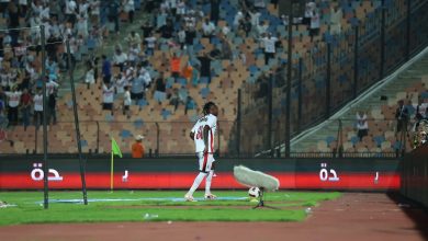 شيكو بانزا لاعب الزمالك